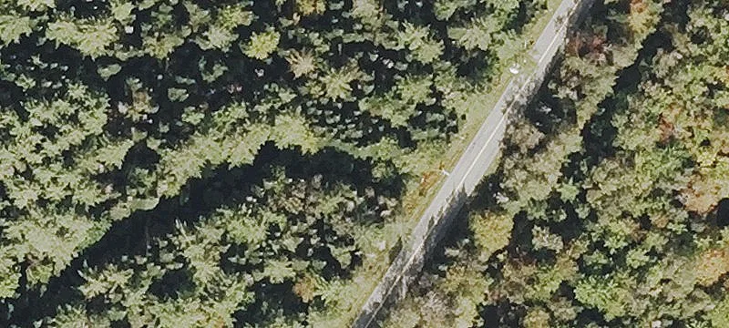 Baptist Hl Rd