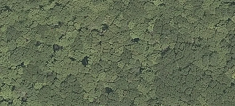 Slab Fence Rd
