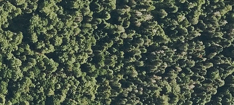 1090 Ctr Rd