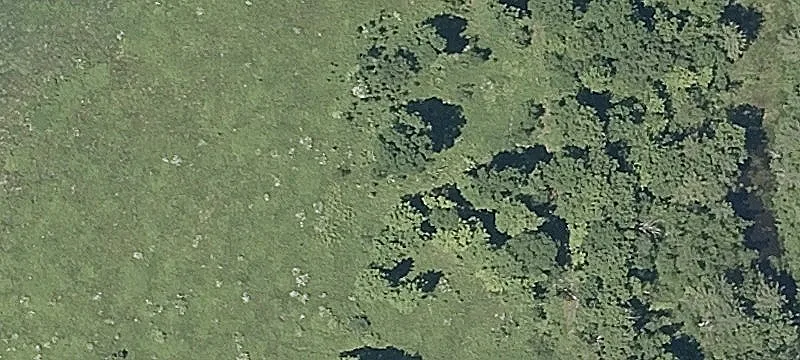 Pond Hl Rd