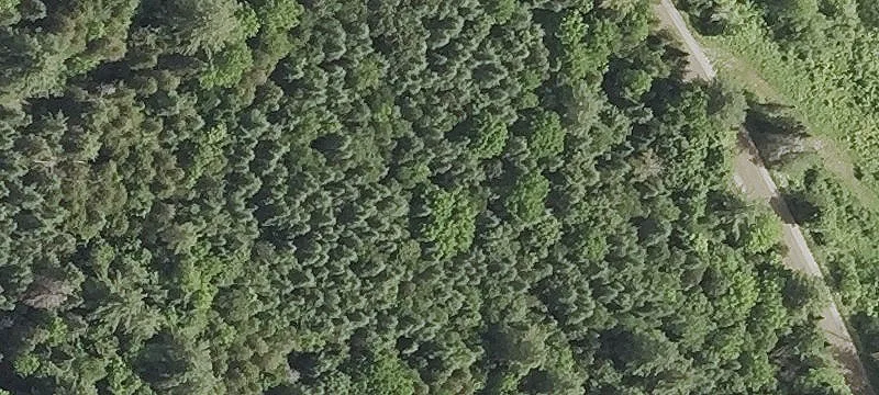 336 Peak Rd