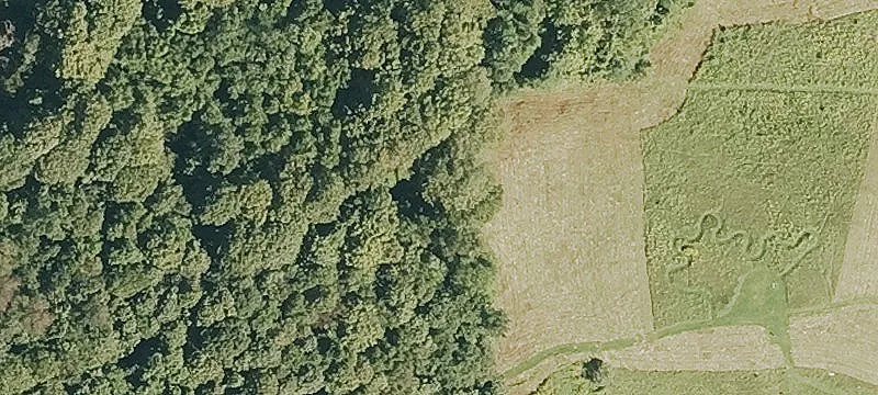 Bonnyvale Rd