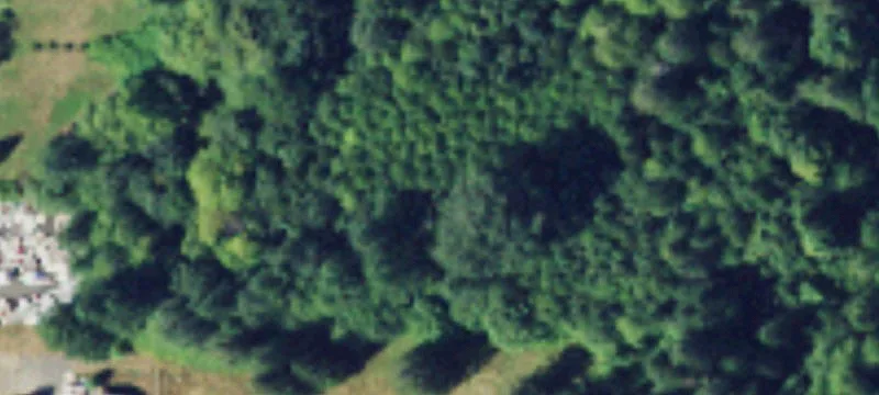 120 Old Belfair Hwy