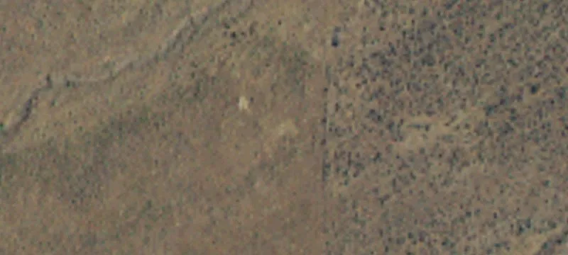 Selah, WA 98942