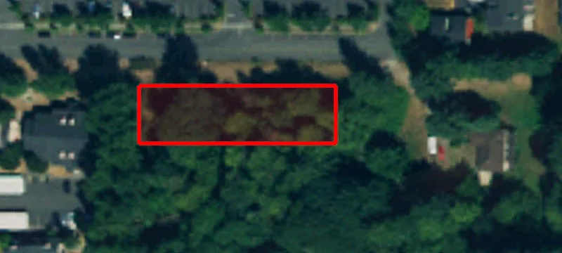 Federal Way, WA 98003