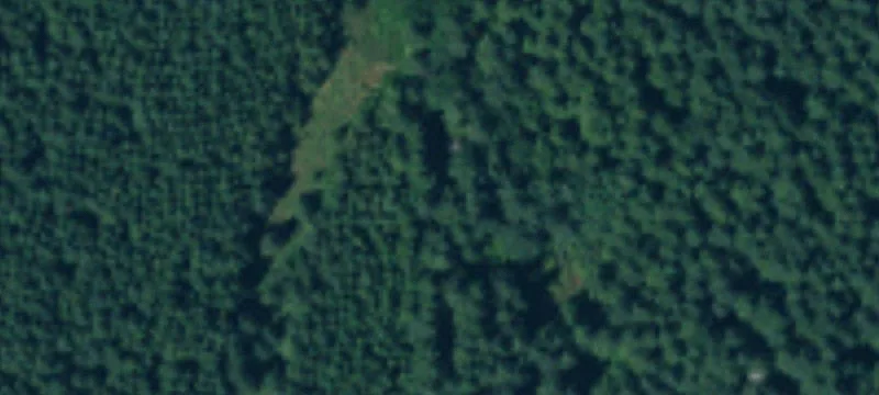 Nikula Rd