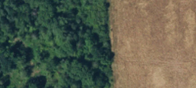 Rarey Rd
