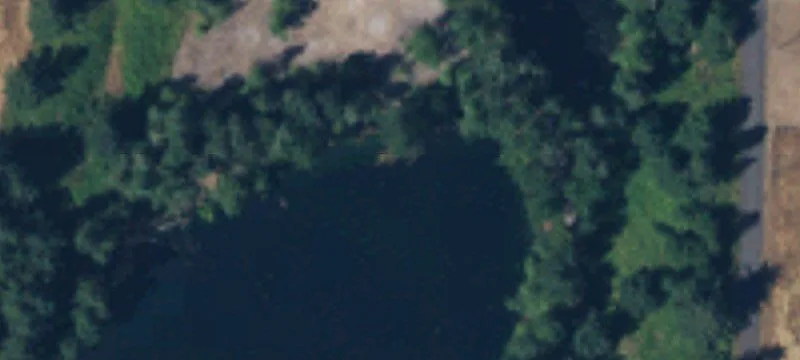 Rochester, WA 98579