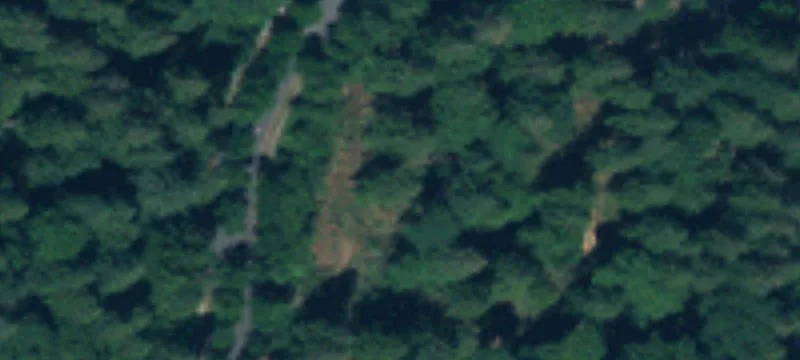 4517 Intelco SE Loop