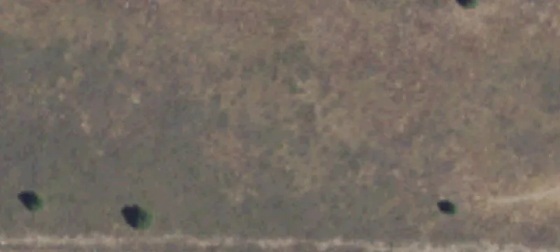 1201 Cedar Rd