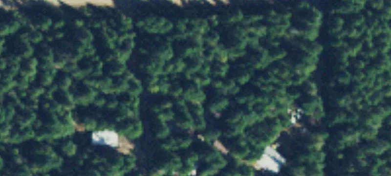 260 Kissin Tree Ln