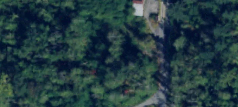 16812 Colony Rd