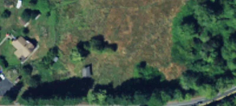 369 Sedgwick Rd