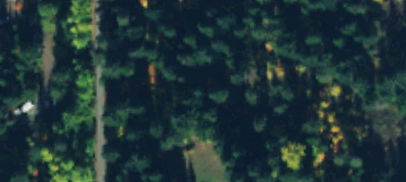 340 Tall Timber Trl