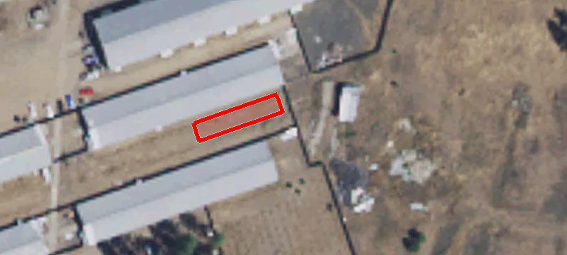 10117 Spotted Rd