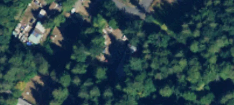 2449 Michael Rd