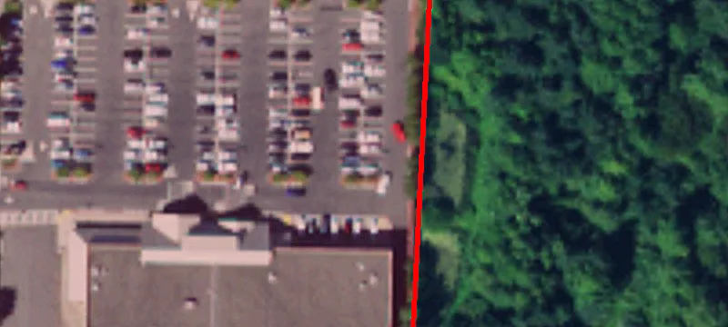350 Sedgwick Rd