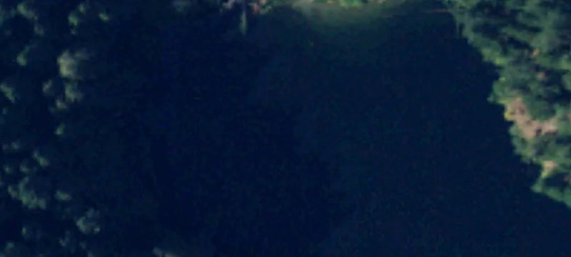 Orcas, WA 98280