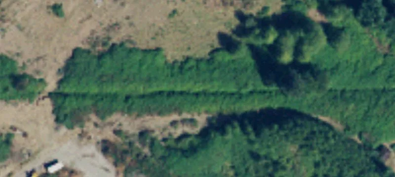 5282 Olson Rd