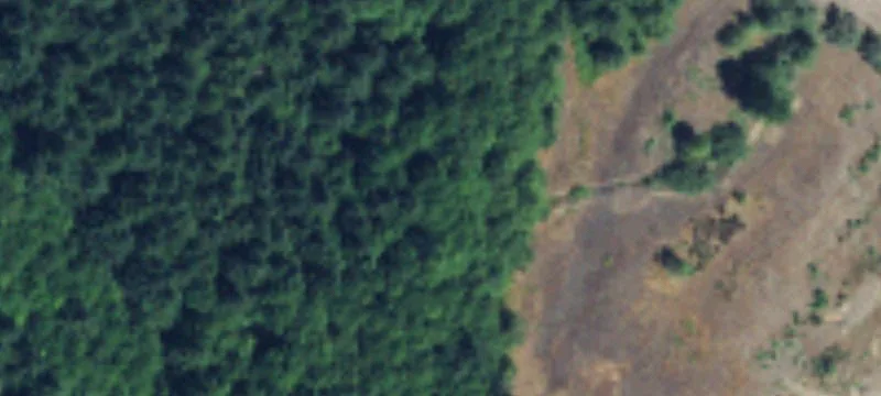 9290 Kalama Riv Rd