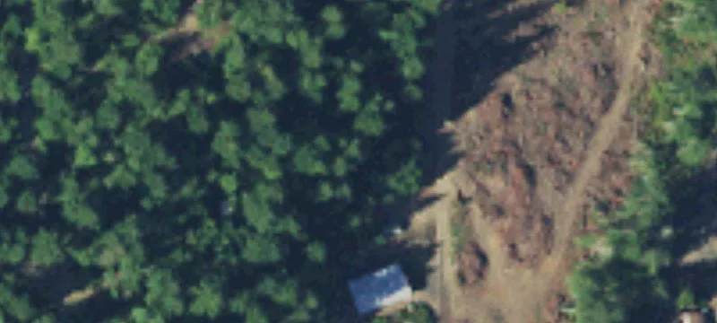 4211 Mason Lk W Dr