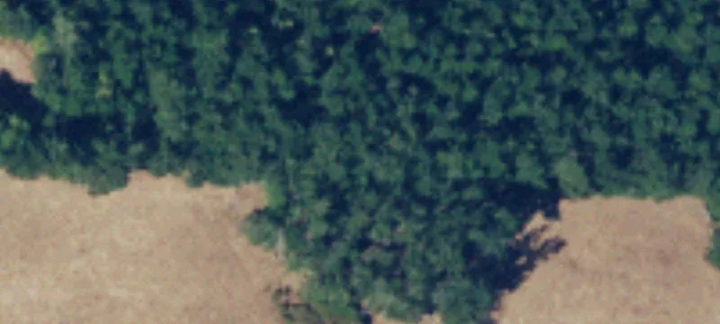 Lopez Island, WA 98261