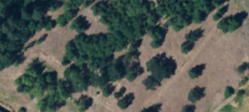 2118 Jackson Hwy