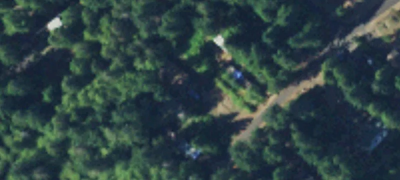 311 Orch Bch Dr