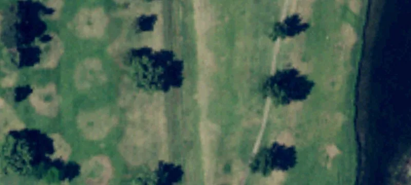 31 Ray Rd