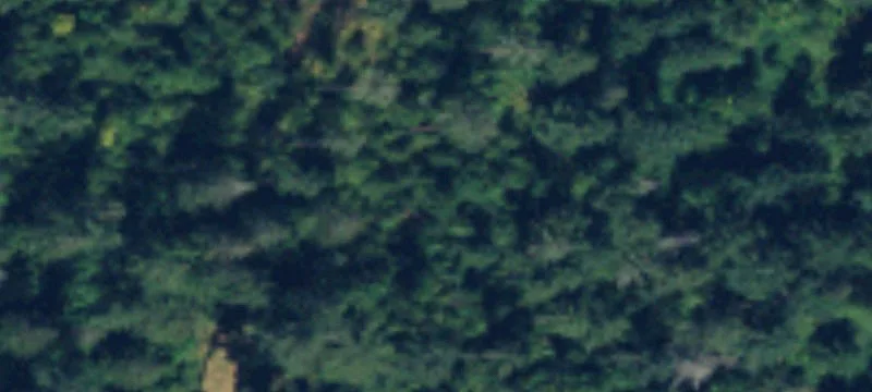 46719 Mtn E Hwy