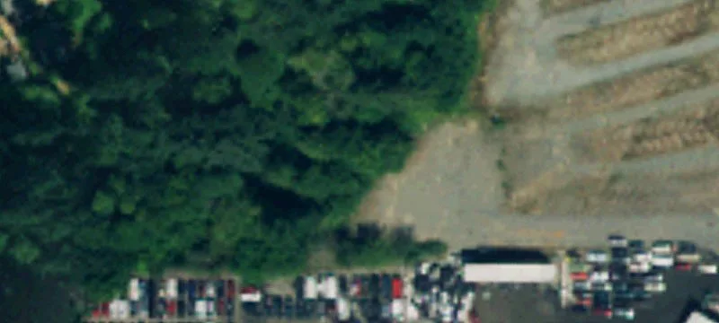 Lynnwood, WA 98037