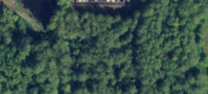 1805 Thompson Dr