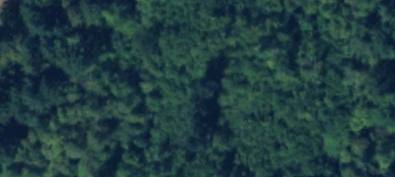 13015 Cyn E Rd