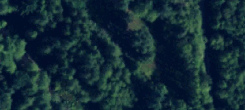 541 Darrk Ln