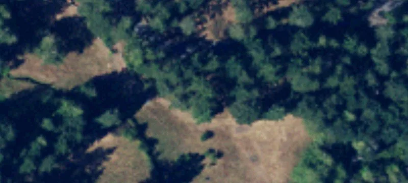 828 Eastman Rd
