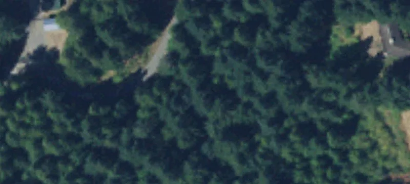 17940 Elhi Rim Rd