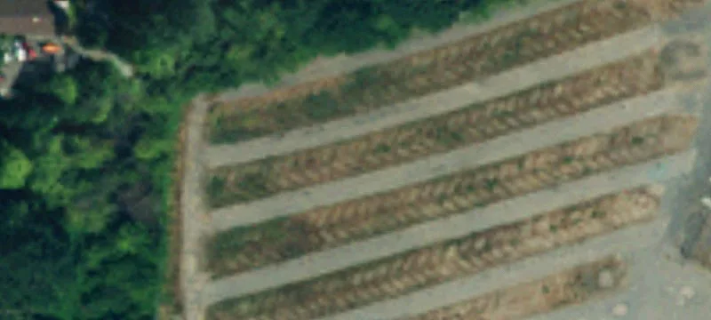 Lynnwood, WA 98037