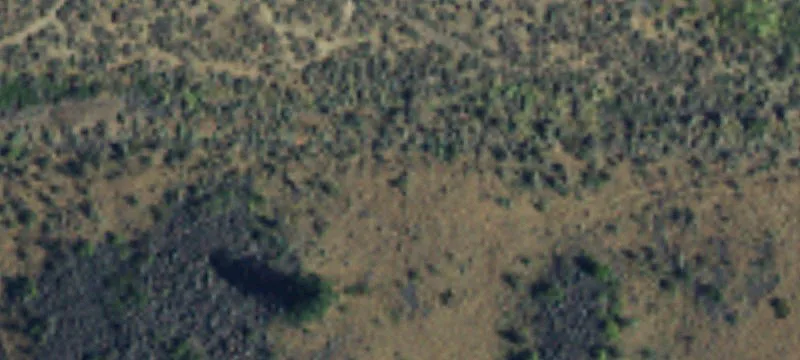 13664 Us Hwy 12