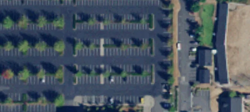2219 Rimland Dr