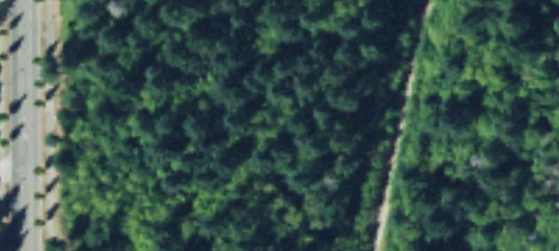 10411 Hbr Hl Dr