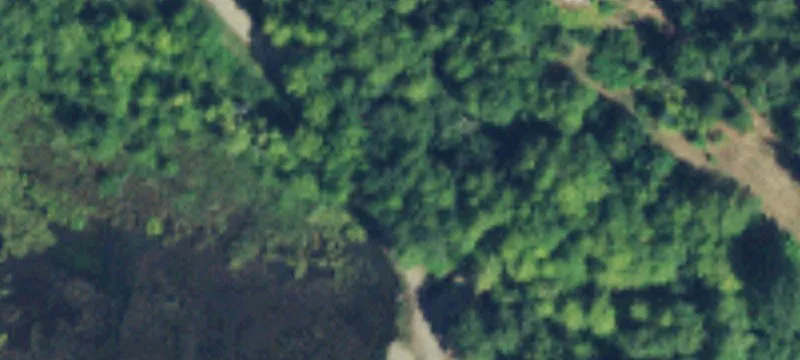 31281 Us Hwy 101