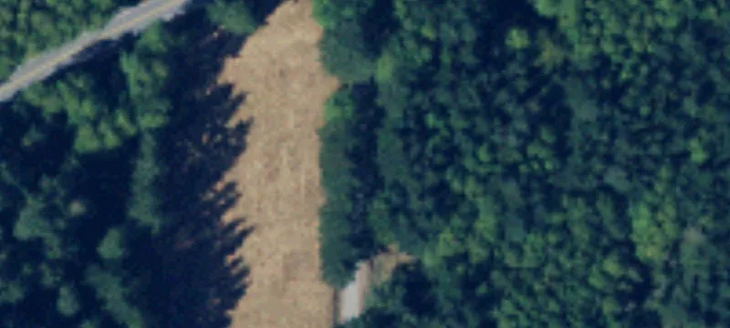 Orcas, WA 98280