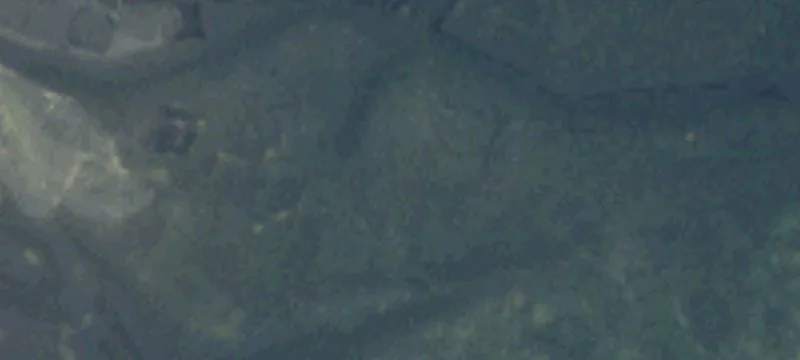 35800 Us Hwy 101