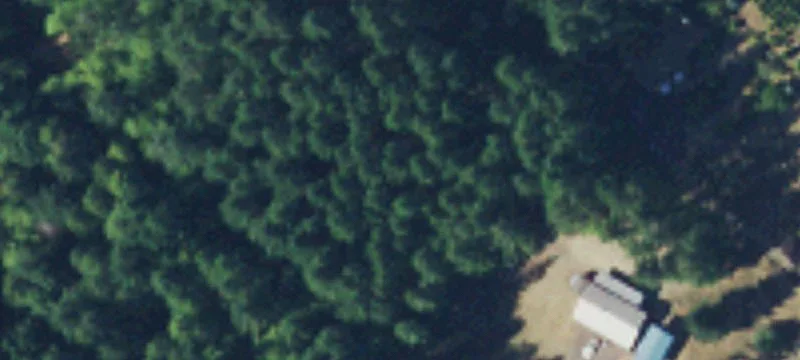 381 Orch Bch Dr