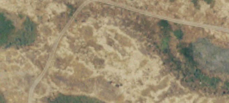 14 Bus Rd