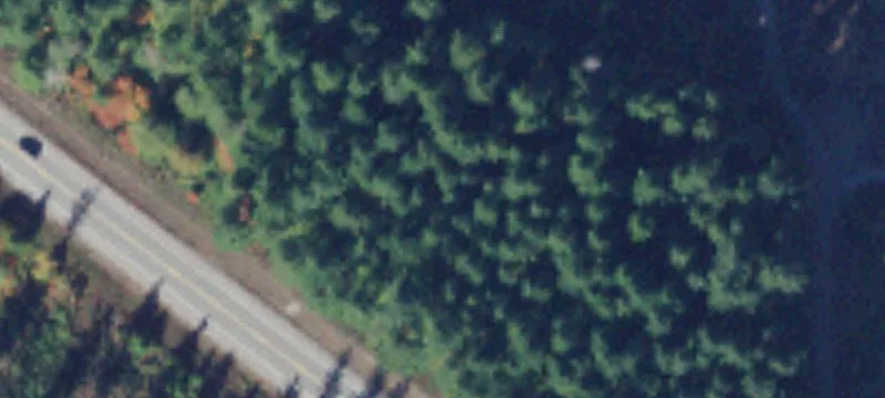 Darrington, WA 98241