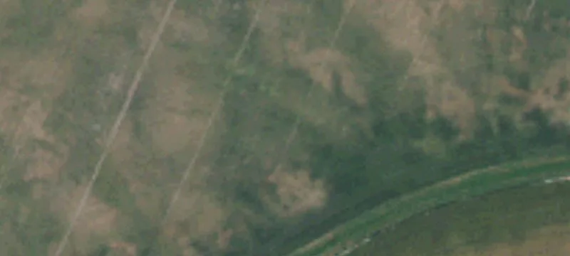 Reardan, WA 99029