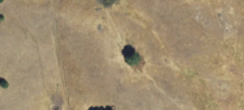 Evans, WA 99126