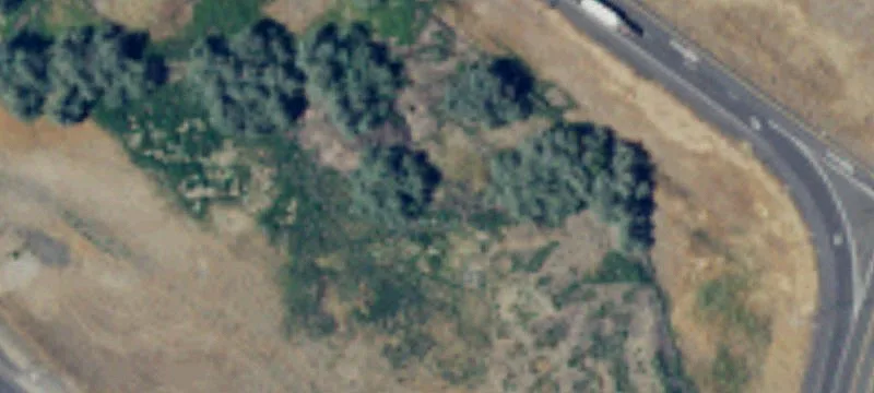 Prosser, WA 99350