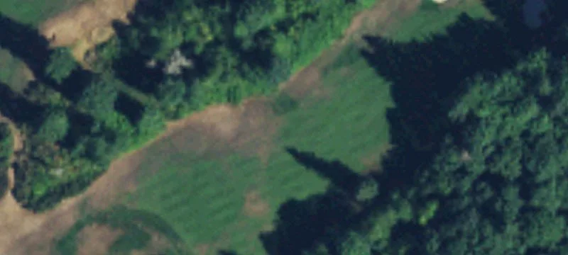 29925 207th SE Ave